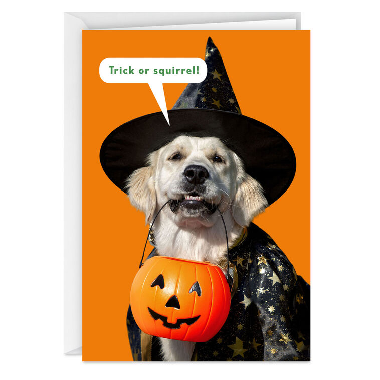 All Your Favorite Treats Funny Halloween Card