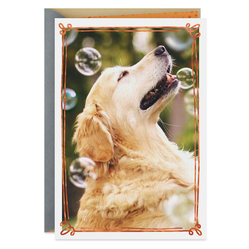 Happy Thoughts Dog With Bubbles Encouragement Card, 