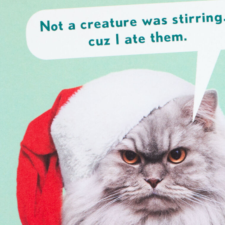 Cranky Cat in Santa Hat Funny Christmas Card Card Front Detail image number 4