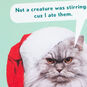 Cranky Cat in Santa Hat Funny Christmas Card Card Front Detail image number 4