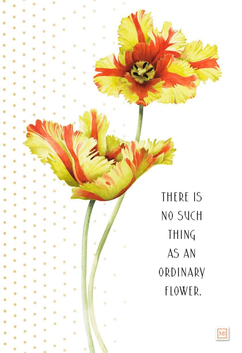 You're No Ordinary Flower Marjolein Bastin Birthday Card