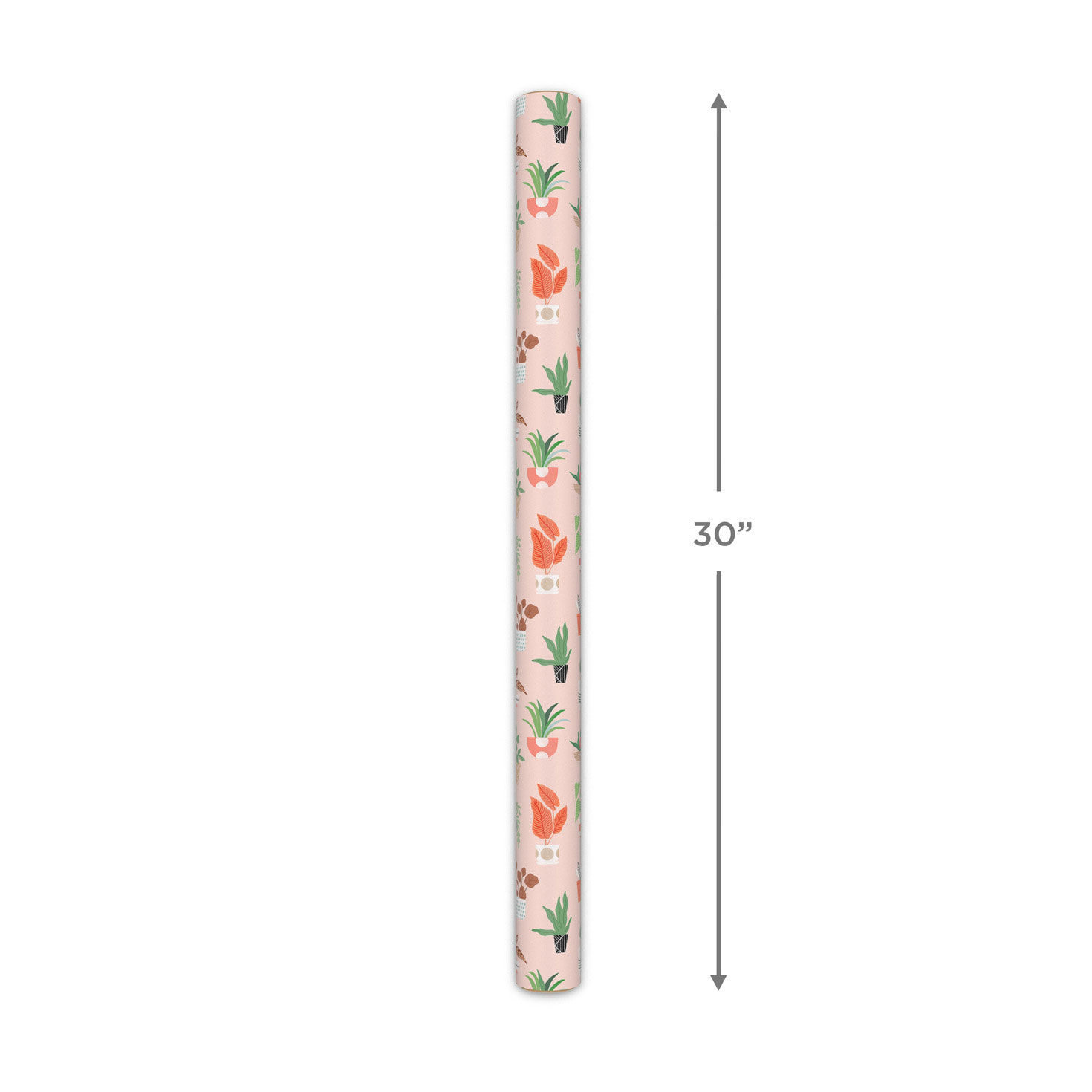 Potted Plants on Pink Wrapping Paper, 20 sq. ft. for only USD 4.99 | Hallmark