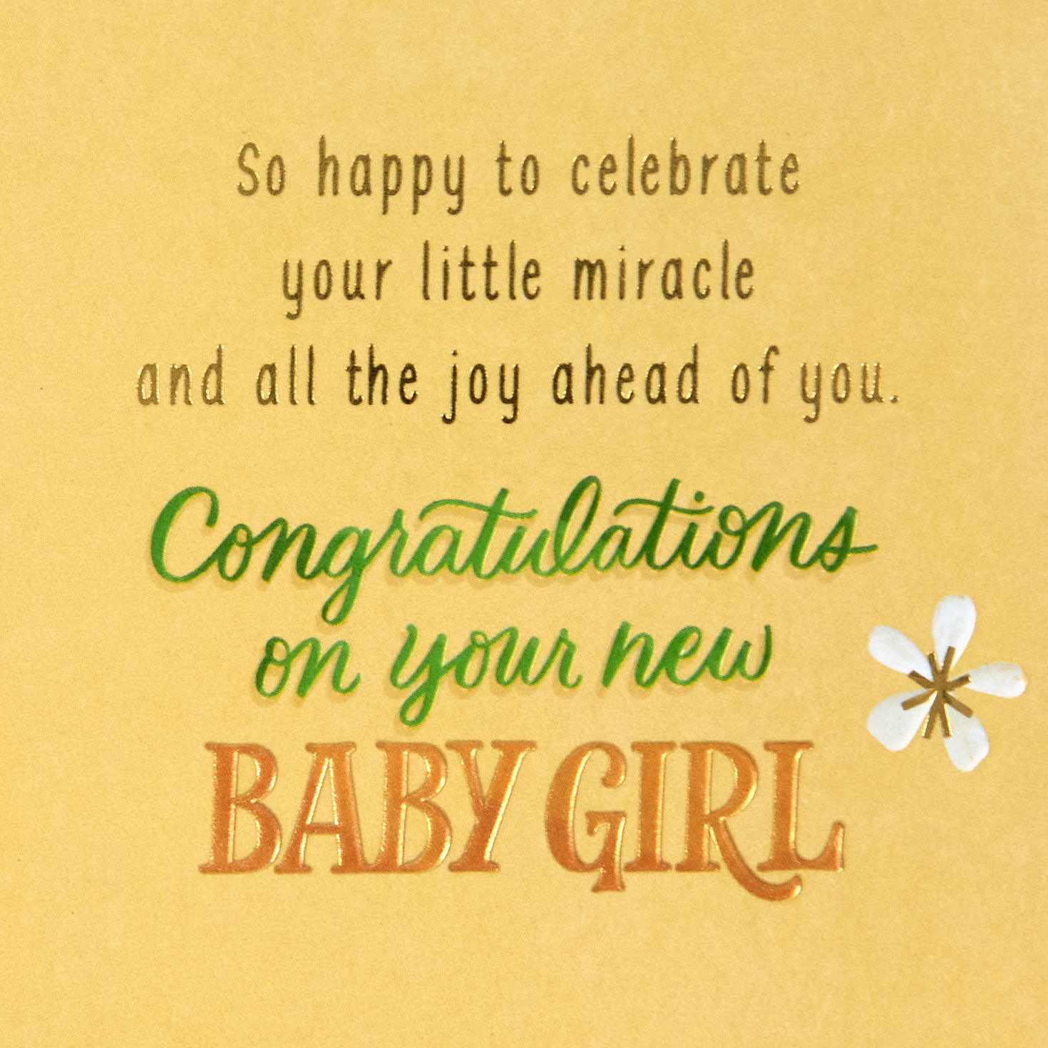 Oranges and Flowers New Baby Girl Card Sentiment image number 2