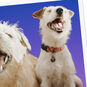 Goofy Dogs Funny Card for Friend Card Front Detail image number 4