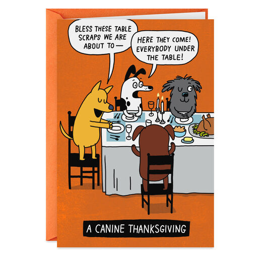 Funny Birthday Cards Shoebox Cards Hallmark