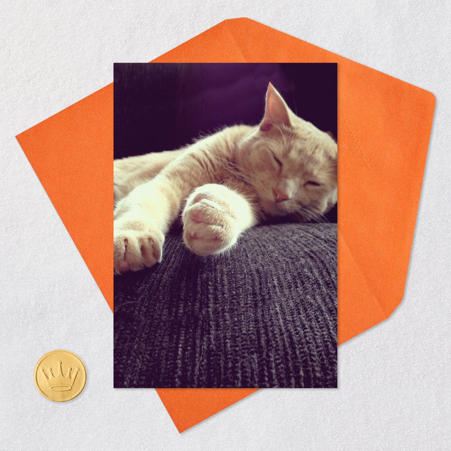 Sleeping Kitty Cat Funny Birthday Card Card Front with Envelope and Gold Seal image number 5