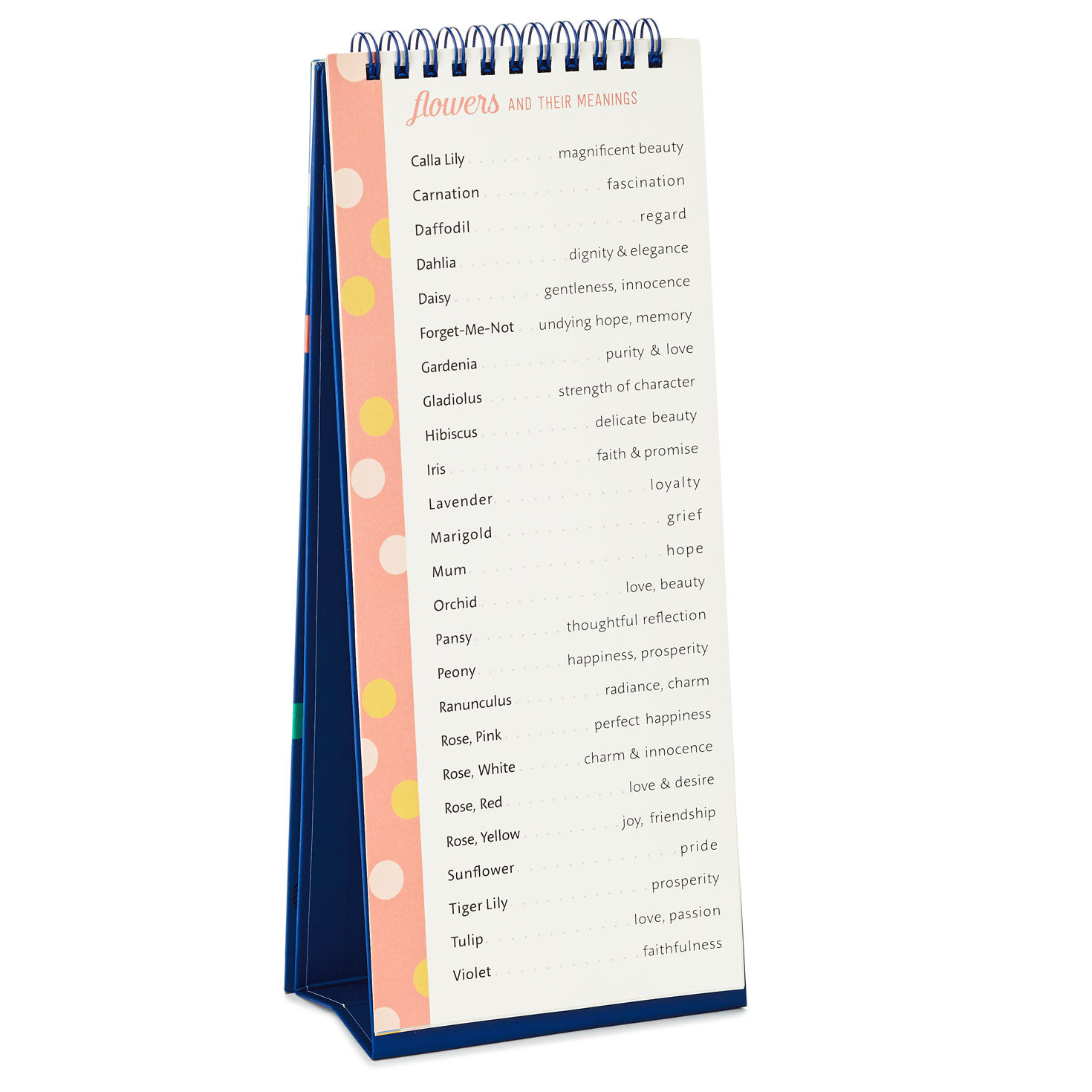 Birthday Calendar Spiral Memo Pad - Calendars & Planners | Hallmark