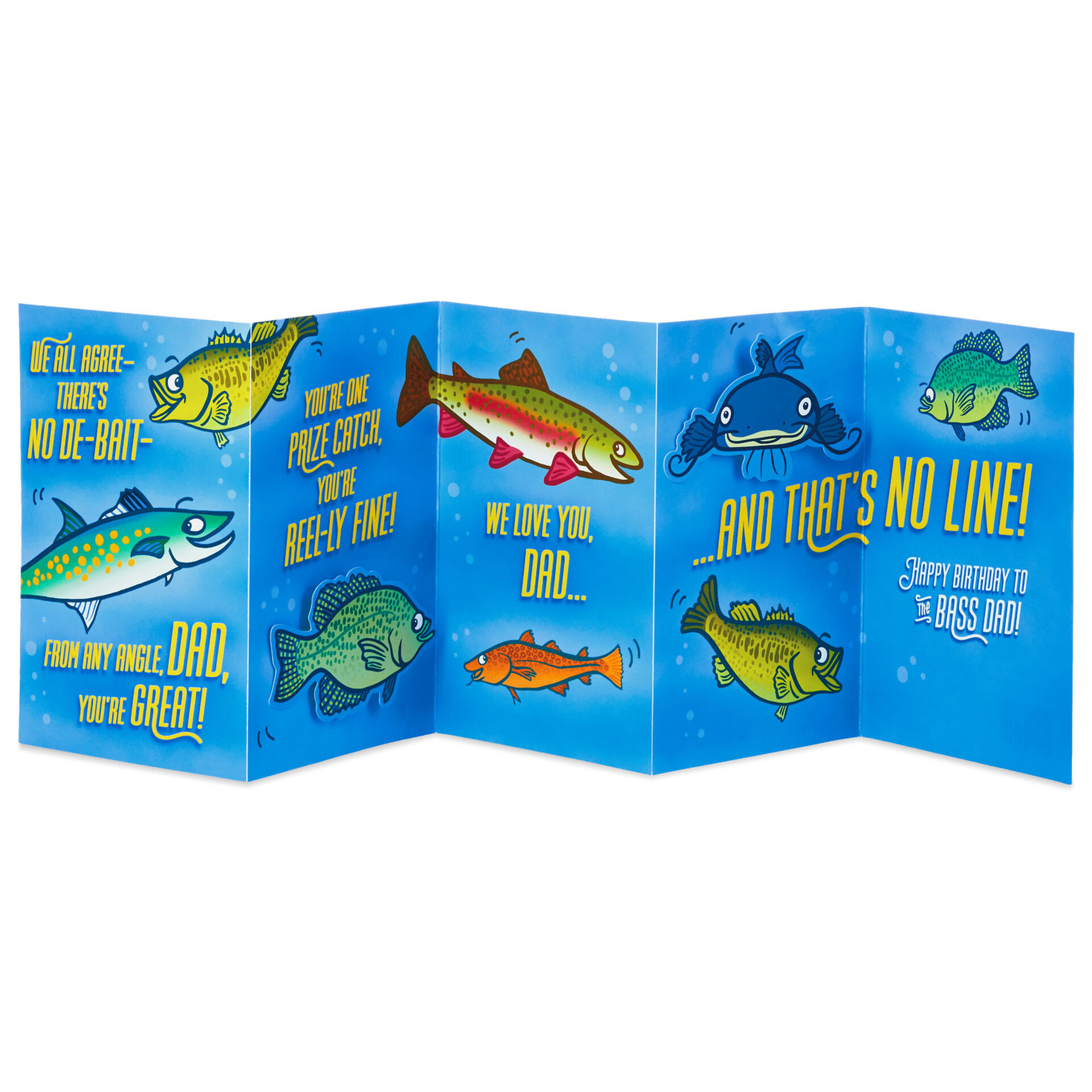 Fishing Puns Funny Birthday Card for Dad Greeting Cards Hallmark