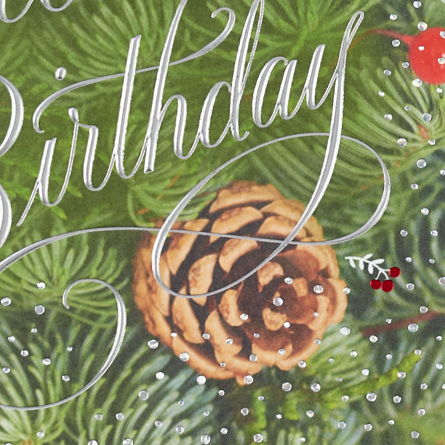 Celebrating the Season and You December Birthday Card for only USD 4.59 | Hallmark