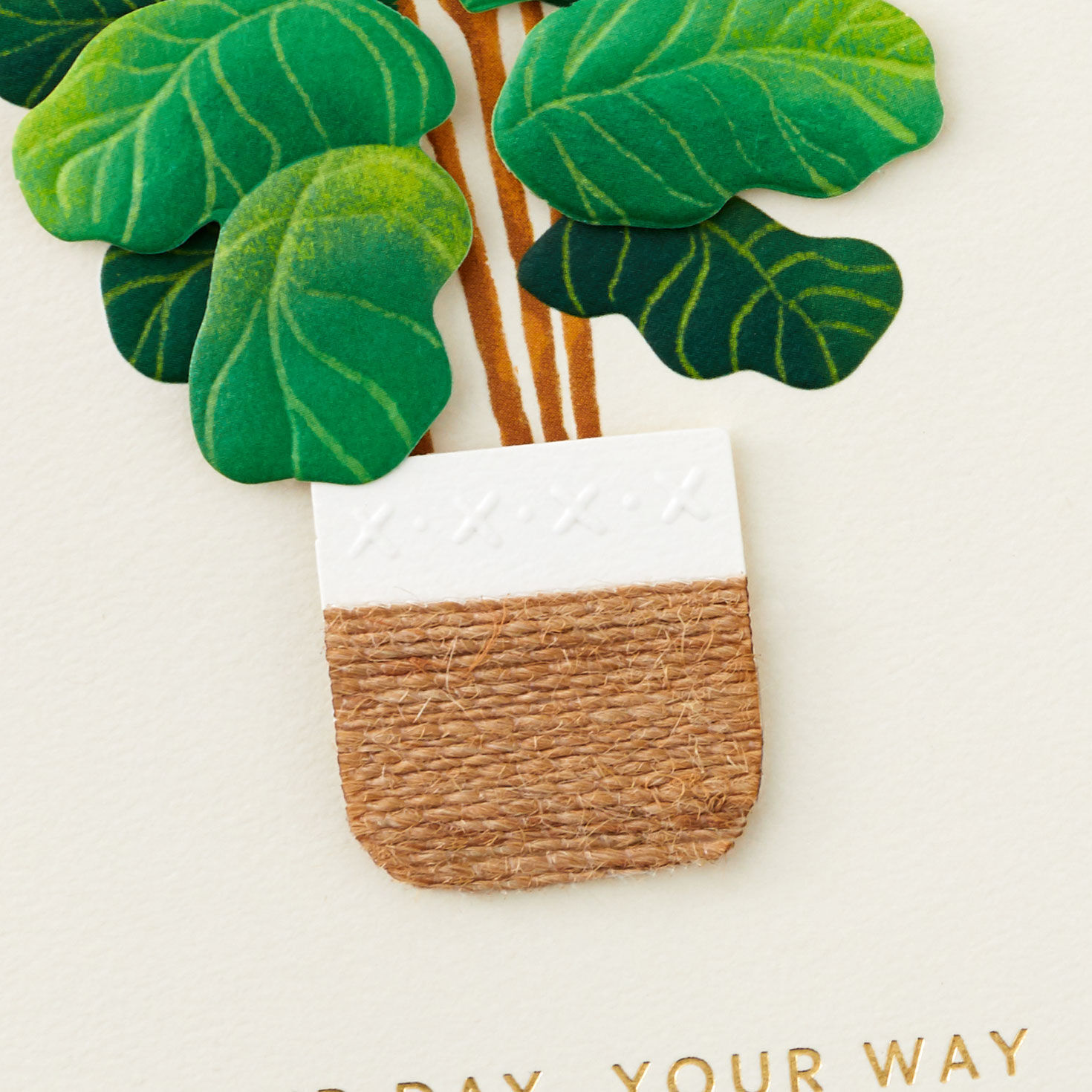 Fiddle-Leaf Fig Potted Plant Birthday Card Card Front Detail image number 4