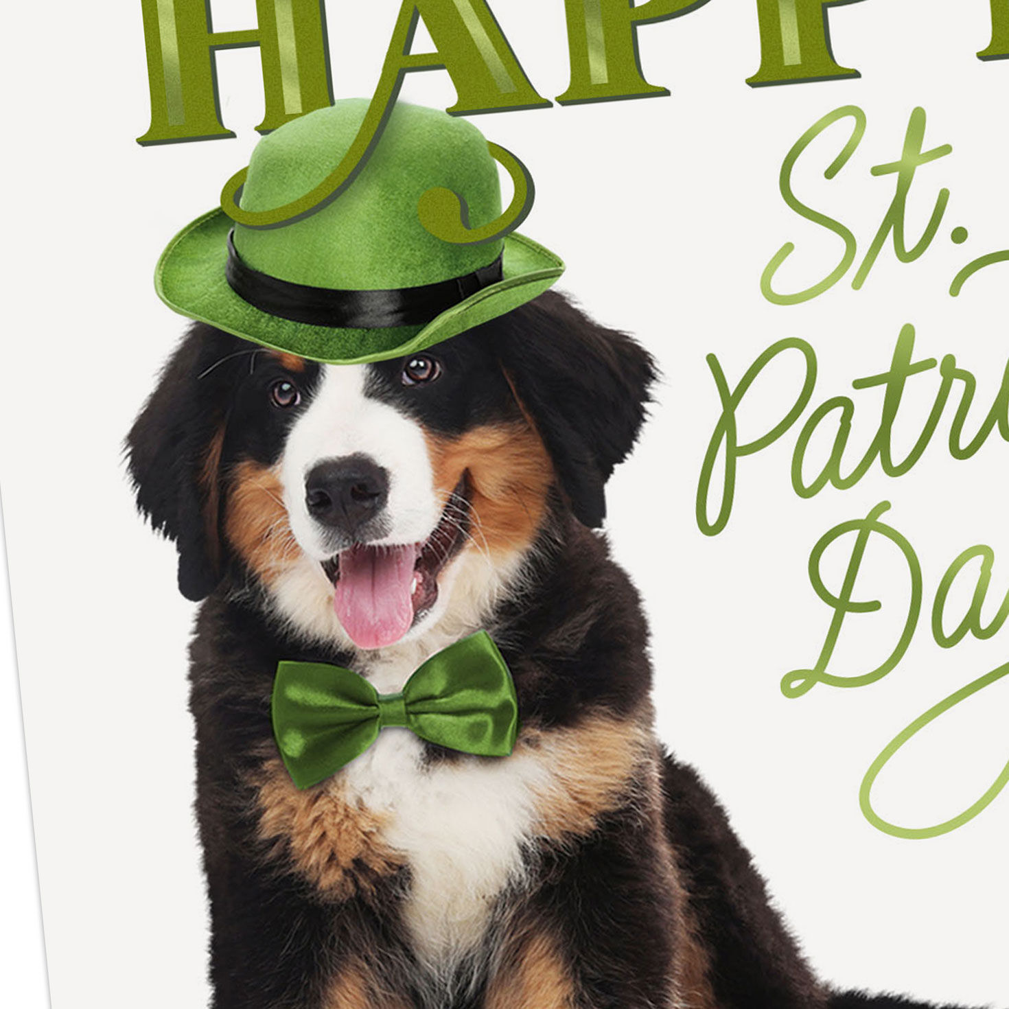 Dog in Green Bowler Hat St. Patrick's Day Card Card Front Detail image number 4