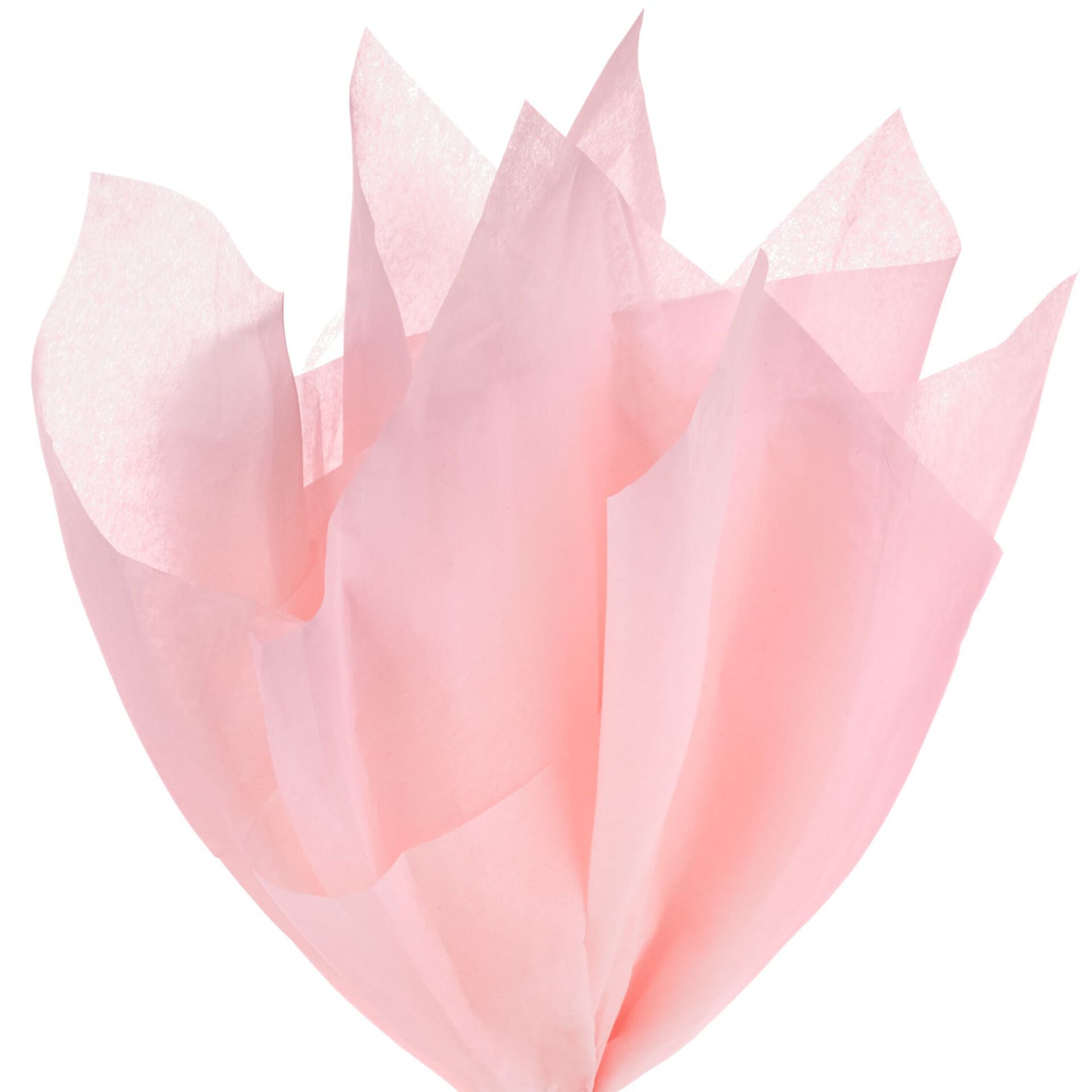 Pink Tissue Paper, 8 sheets Tissue Hallmark