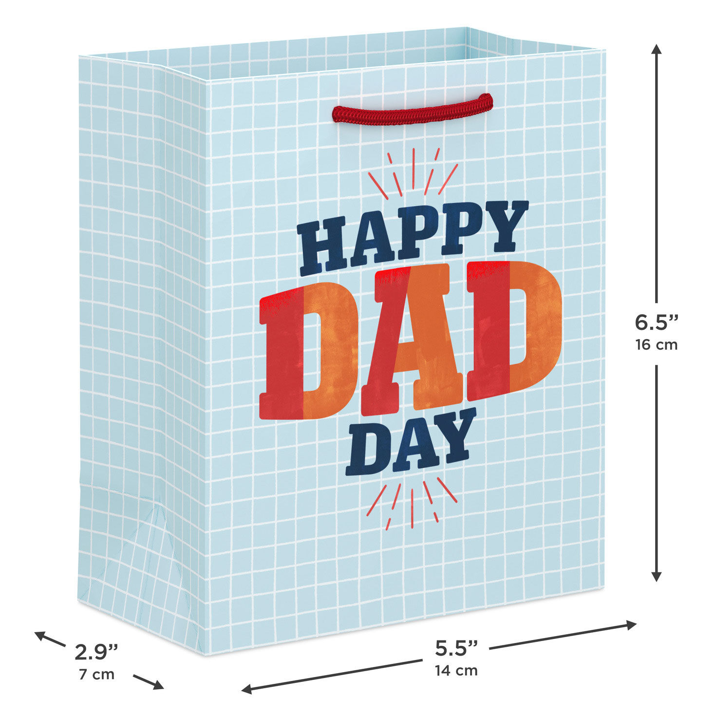 Light Blue Grid Happy Dad Day Small Gift Bag Measurement image number 3