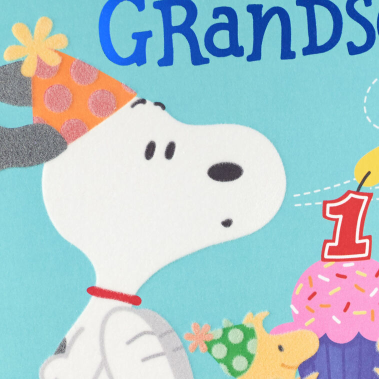 Peanuts® Snoopy First Birthday Card for Grandson, , large image number 5