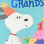 Peanuts® Snoopy First Birthday Card for Grandson, , large image number 5