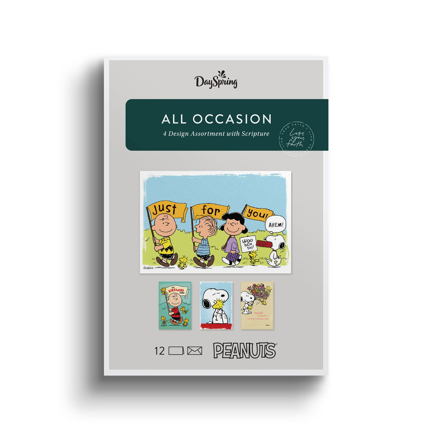 Peanuts DaySpring All Occasion Cards Assortment package front image number 2