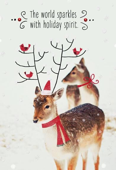 Holiday Spirit Christmas Card