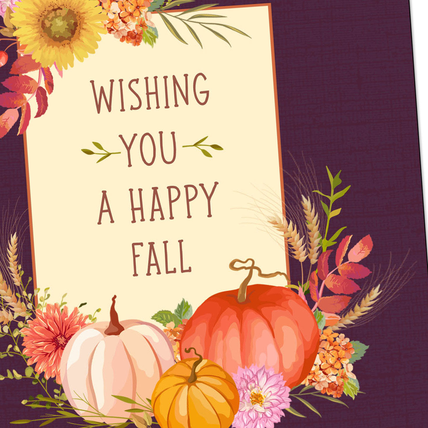 Cornucopia on Purple Fall Season Cards Pack Cover Detail image number 4