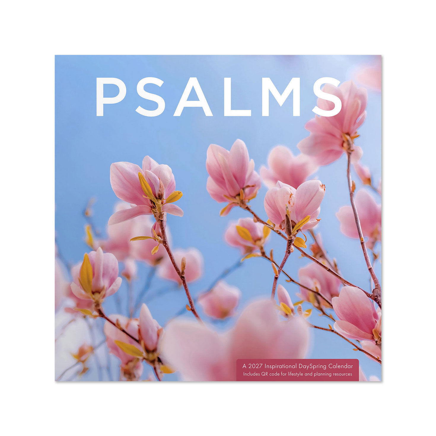 Psalms 2027 Inspirational 12-Month Wall Calendar, 12x12