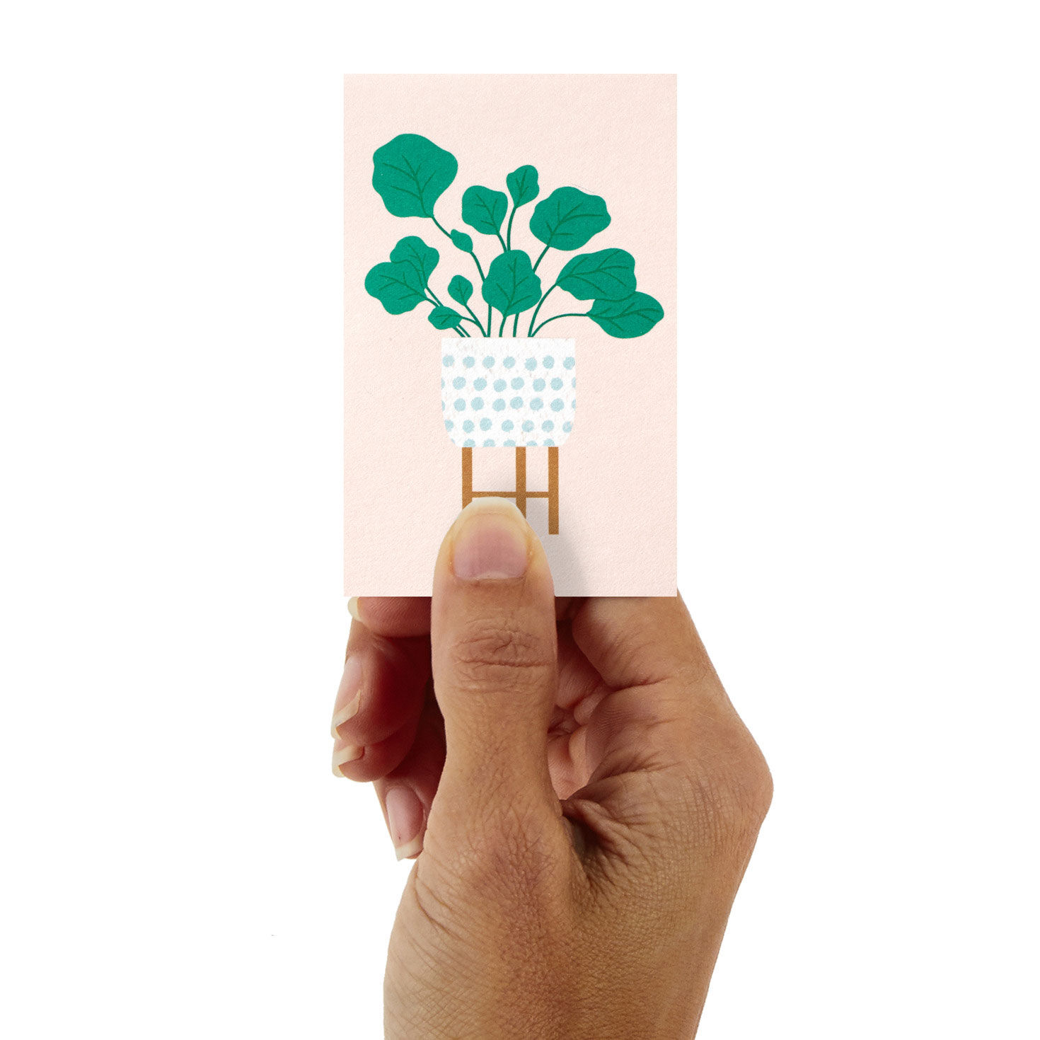 Potted Plants Mini Note Cards Pack holding card image number 2