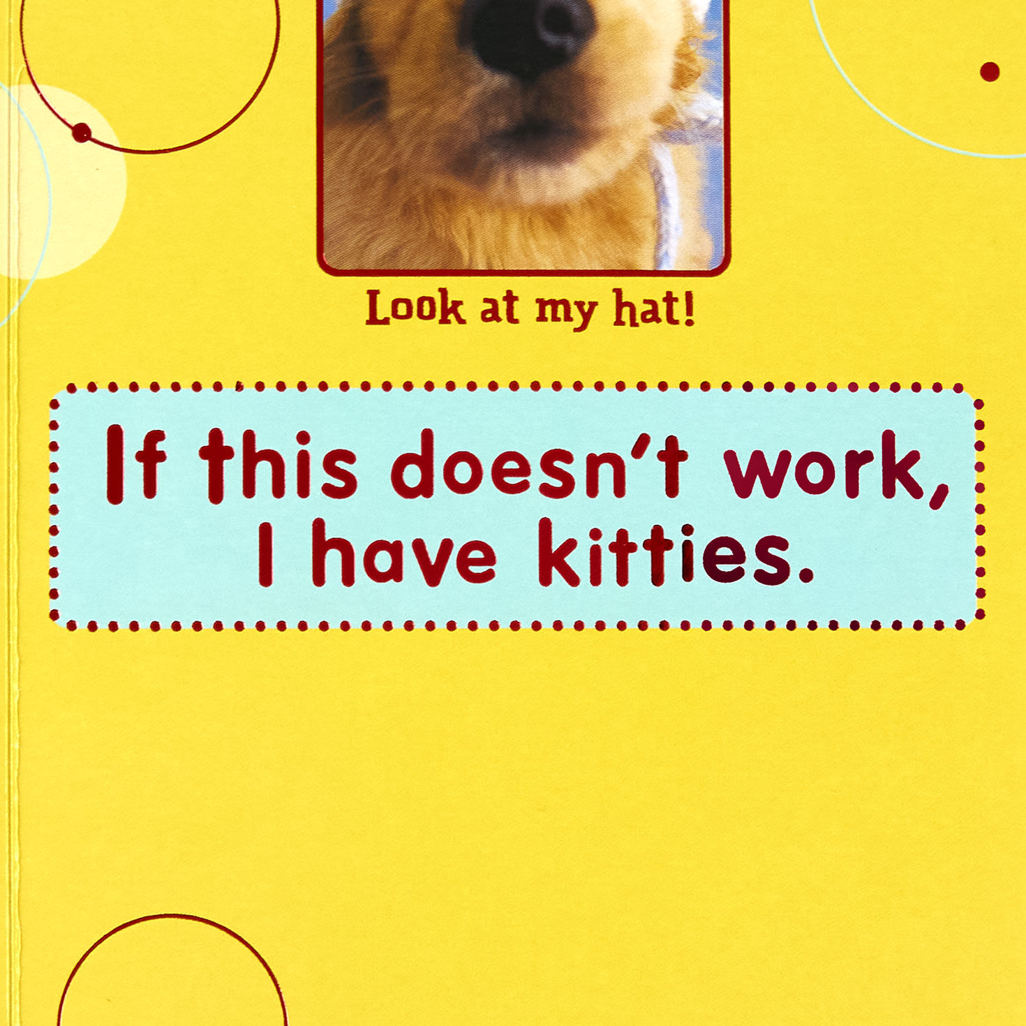 Cute Dog Photos Birthday Card Sentiment image number 3
