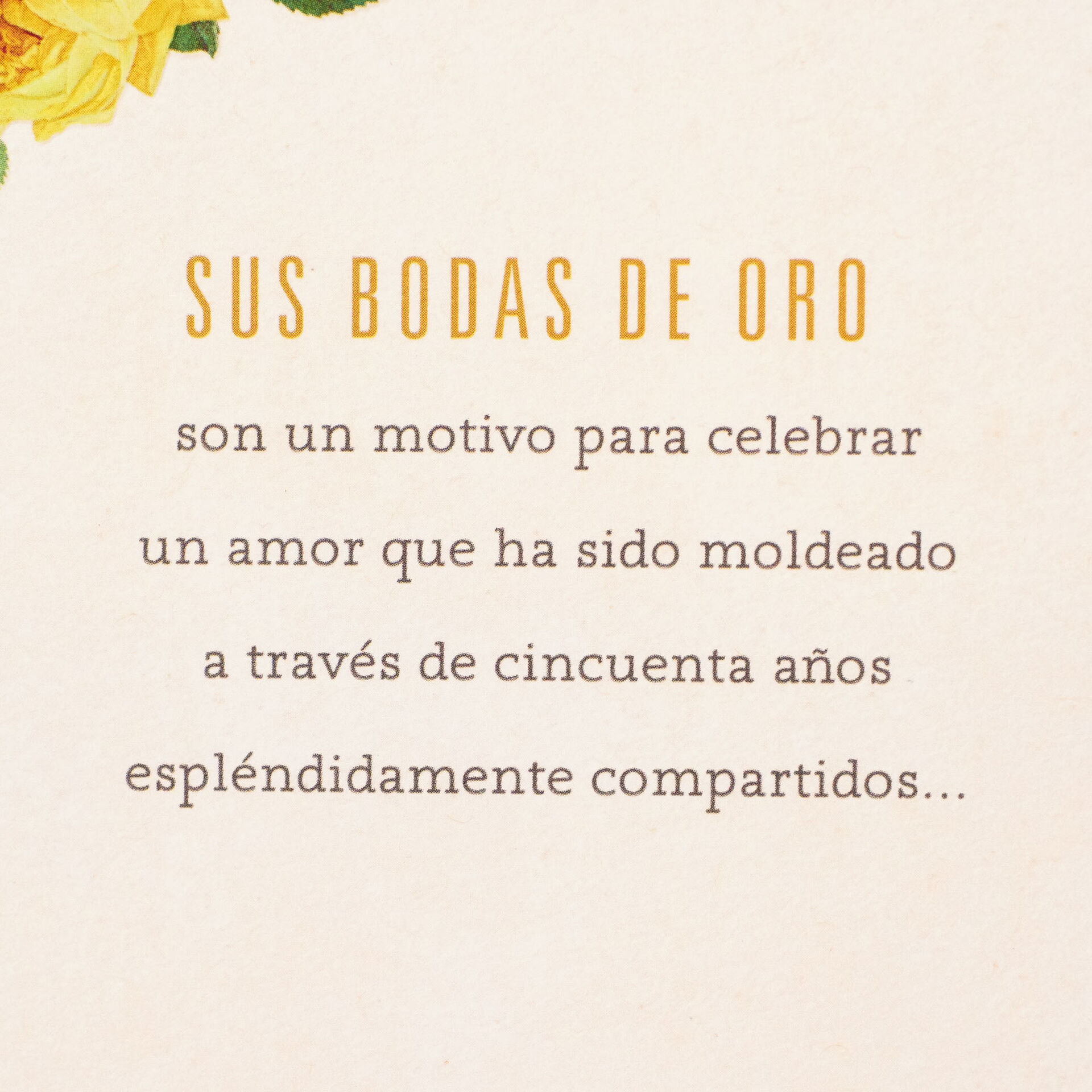 A Beautiful Promise Spanish Language 50th Anniversary Card Greeting Cards Hallmark