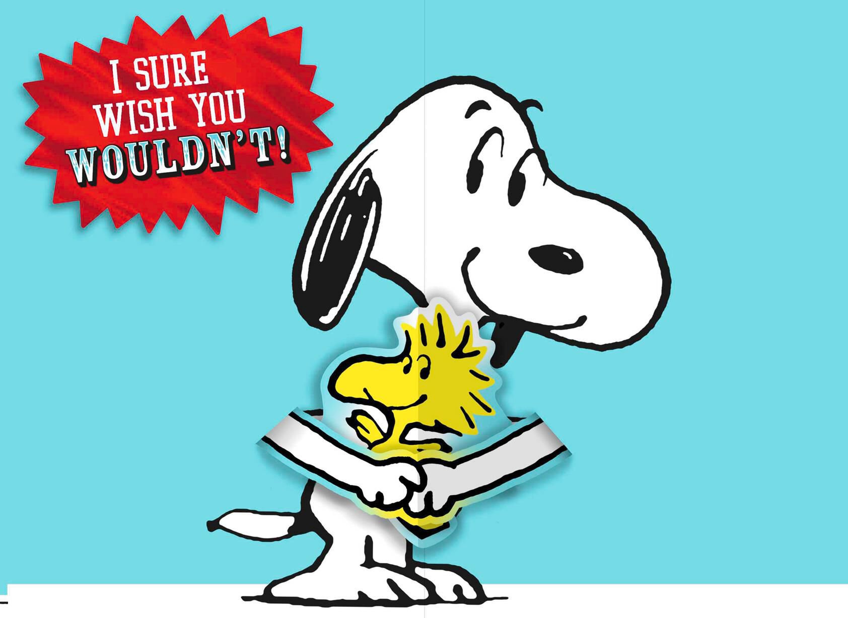 Peanuts® Snoopy Hug Pop Up Goodbye Card