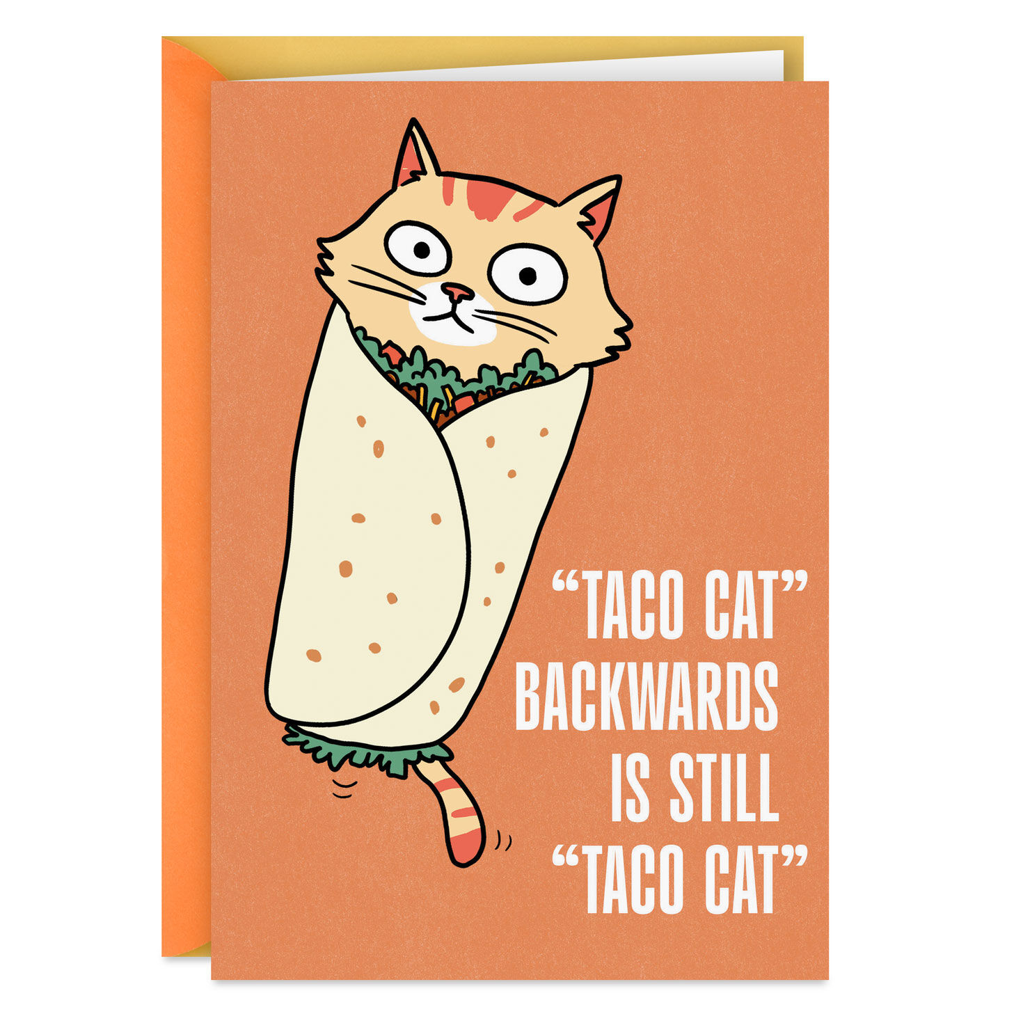 Taco Cat Backwards Funny Birthday Card