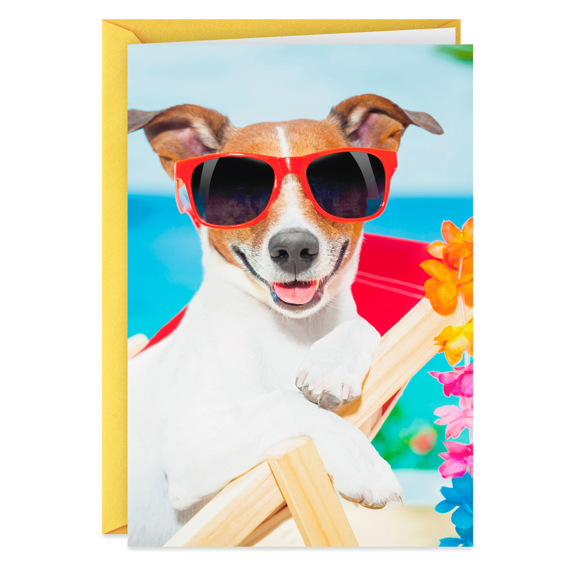 Happy Father's Day Dad Dog Puppy Dogs Buddy Buddies Hallmark Greeting Card Happy Father's Day Dad Dog Puppy Dogs Buddy Buddies Hallmark Greeting Card