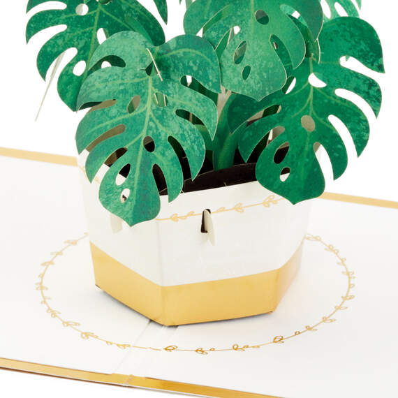 Plant in Pot 3D Pop-Up Thinking of You Card, , large image number 3