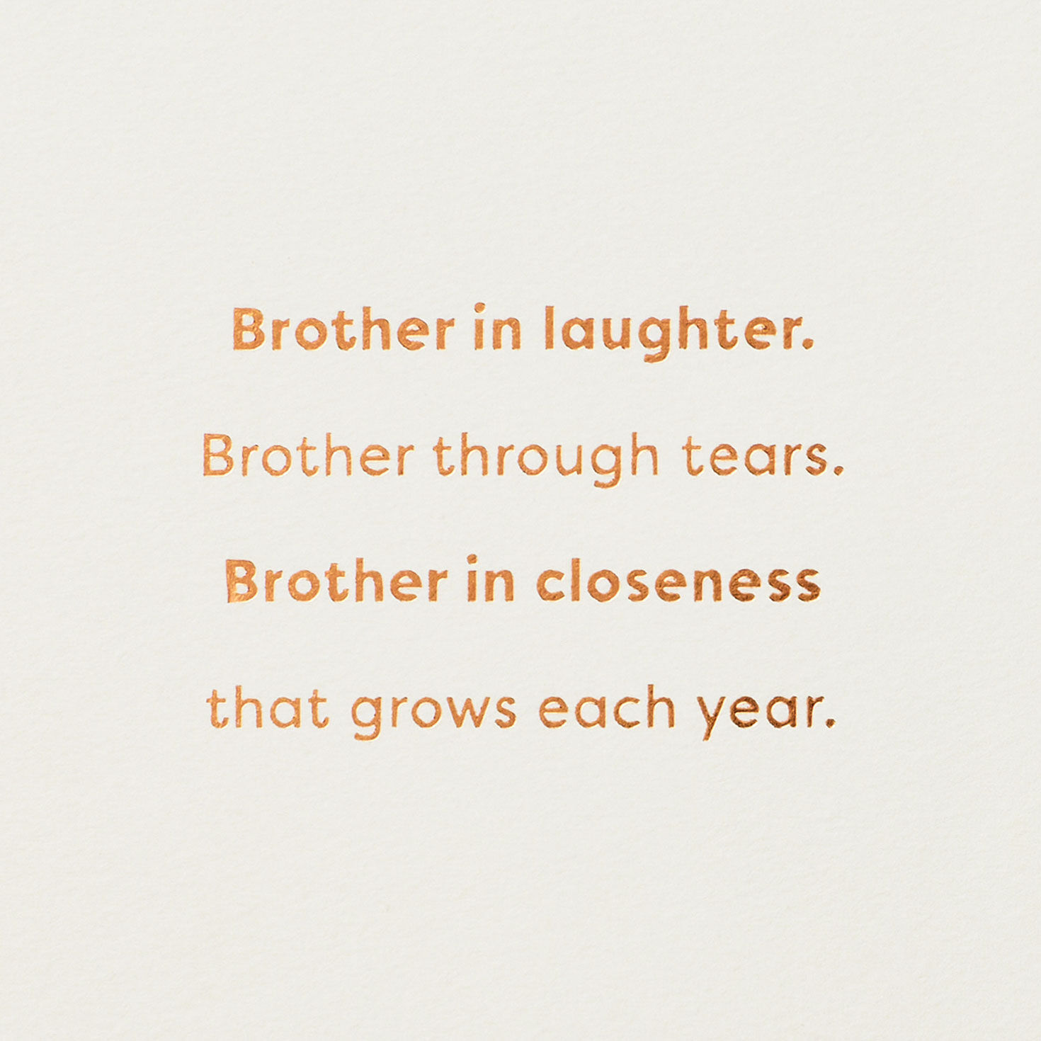 Brother in Kindness, Heart and Spirit Birthday Card for Brother-in-Law for only USD 5.99 | Hallmark