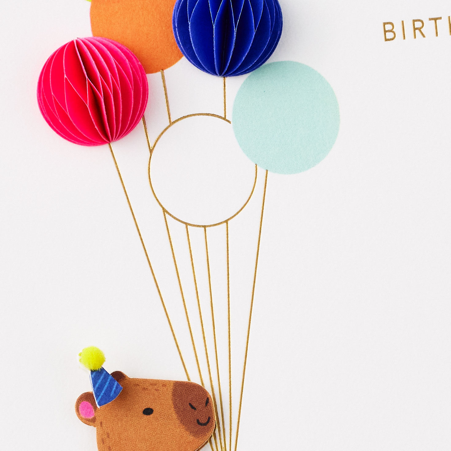Cartoon Capybara with Balloons Birthday Card Card Front Detail image number 4