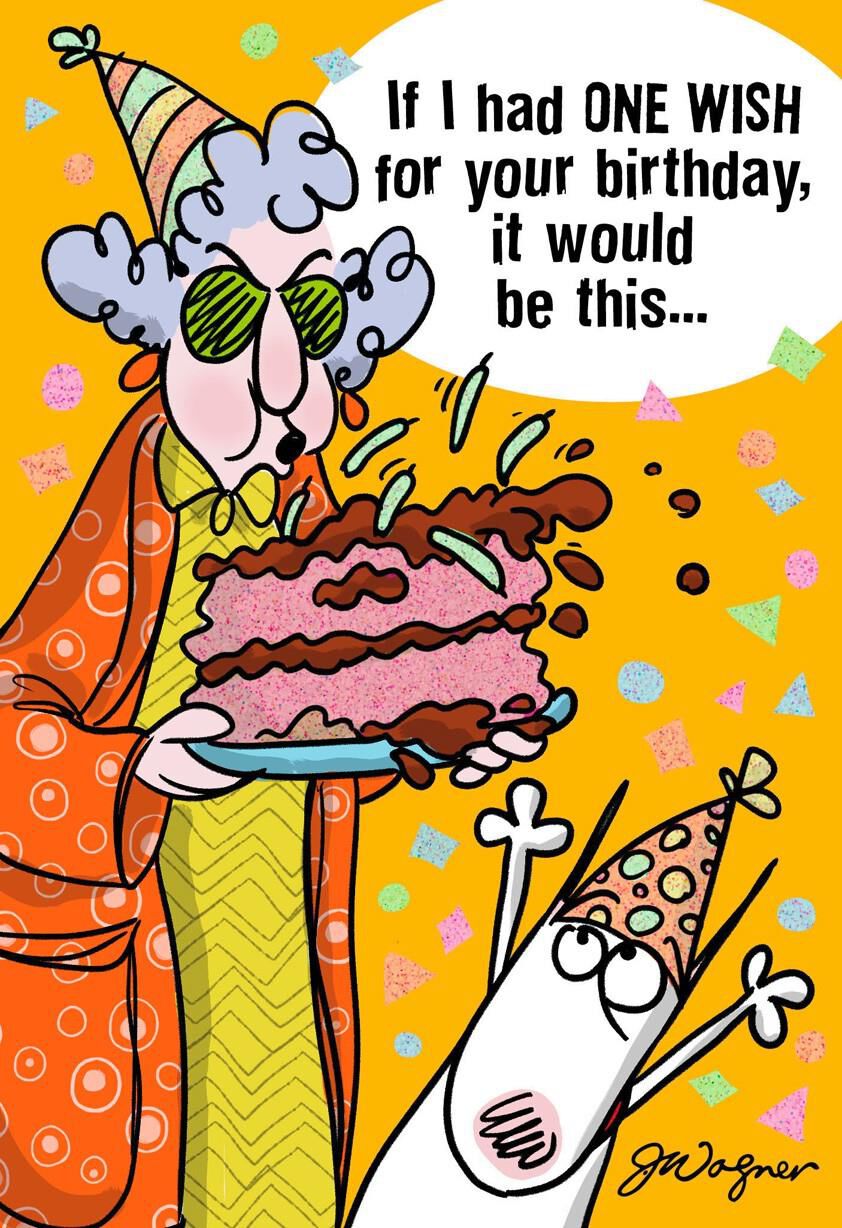 One Wish Funny Birthday Card