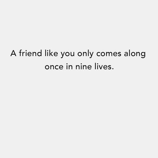 A Friend Like You Two Kittens Friendship Card, 