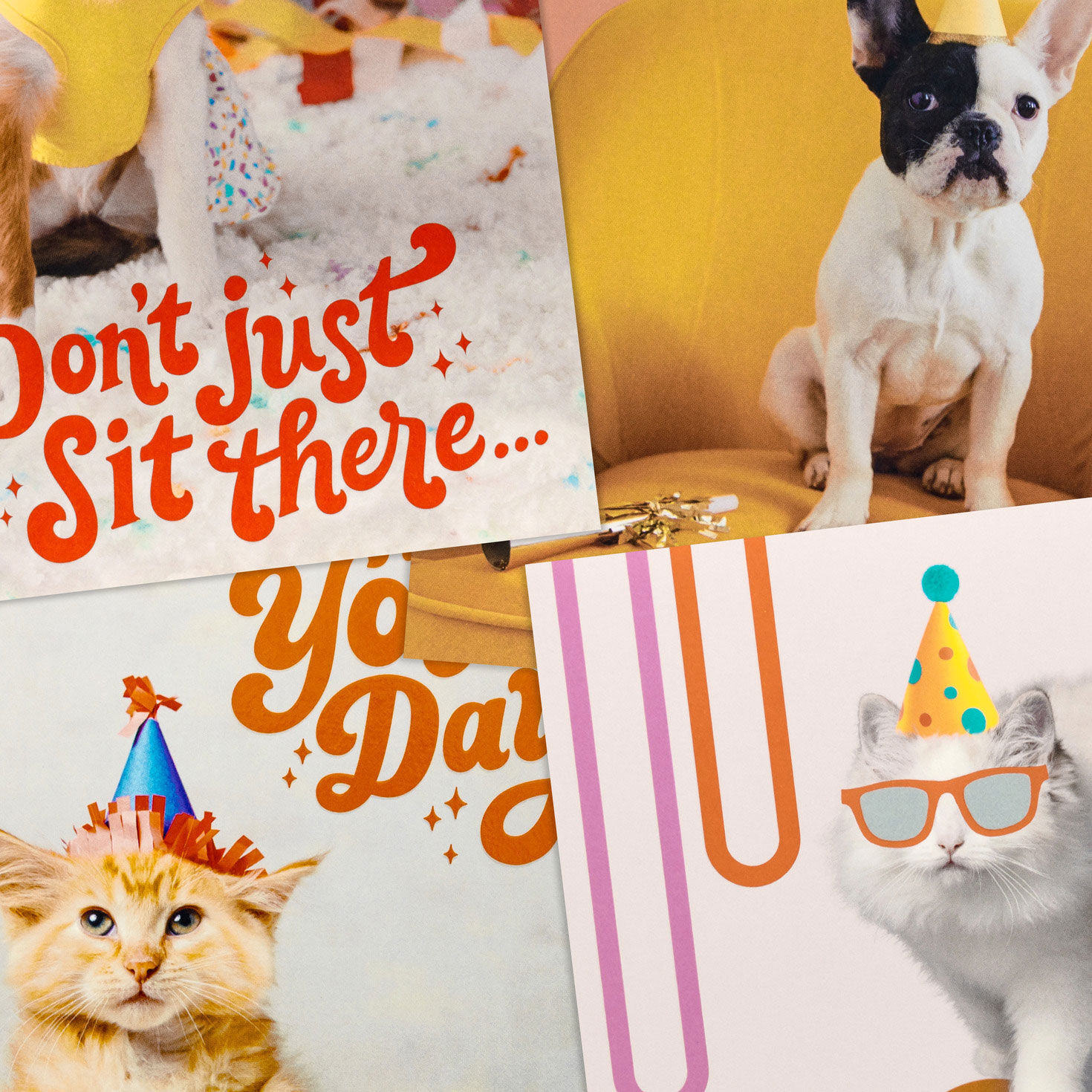 Cats and Dogs Birthday Party Cards Assortment Cover Detail image number 5