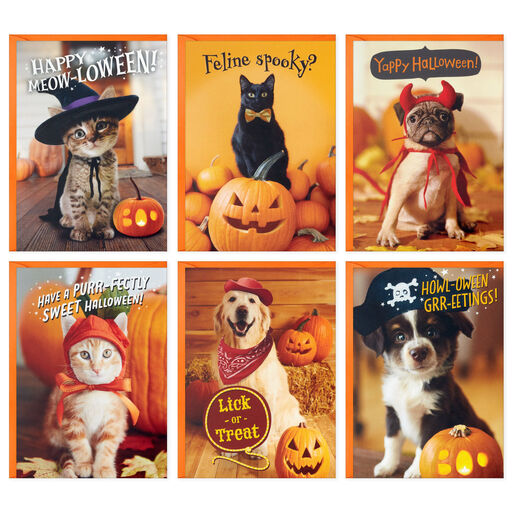 Pet Puns Boxed Halloween Cards Assortment, Pack of 48, 