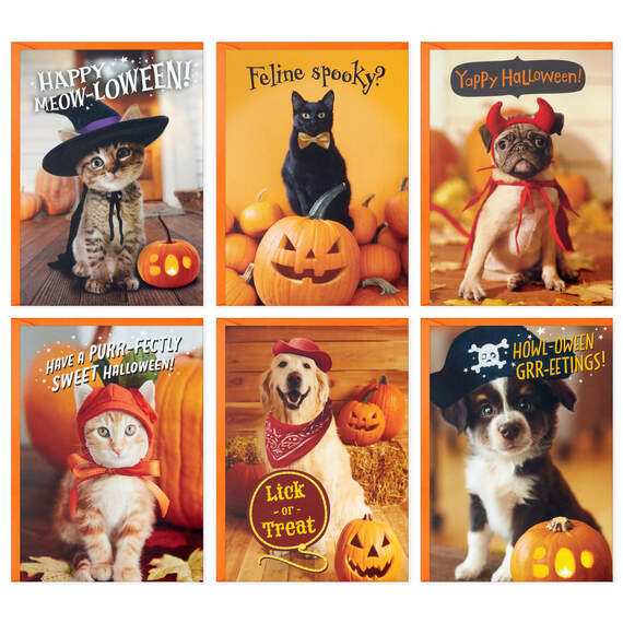 Pet Puns Boxed Halloween Cards Assortment, Pack of 48, , large image number 2