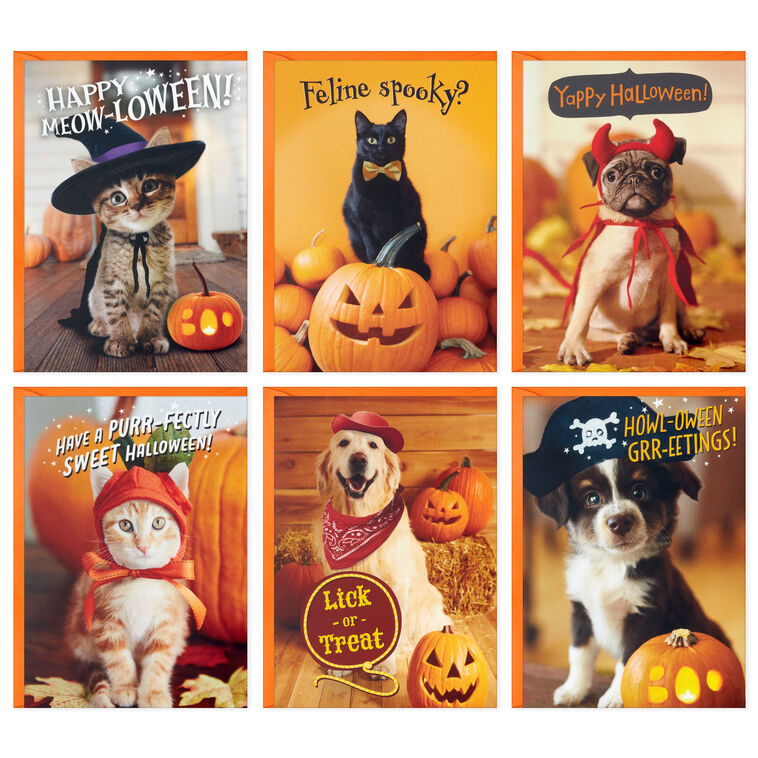 Pet Puns Assortment Boxed Halloween Cards, Pack of 48, , large image number 2