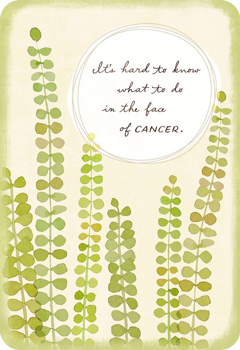 Get Well Cards Hallmark