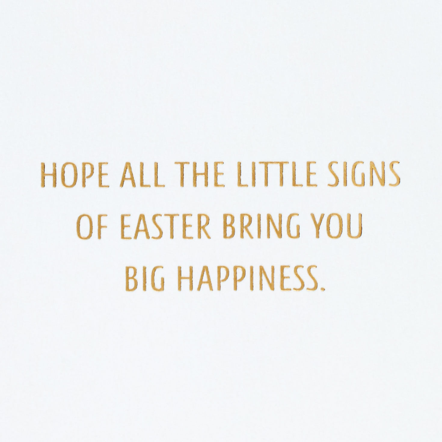 Die-cut Rainbow Floral Egg Easter Card sentiment image number 2