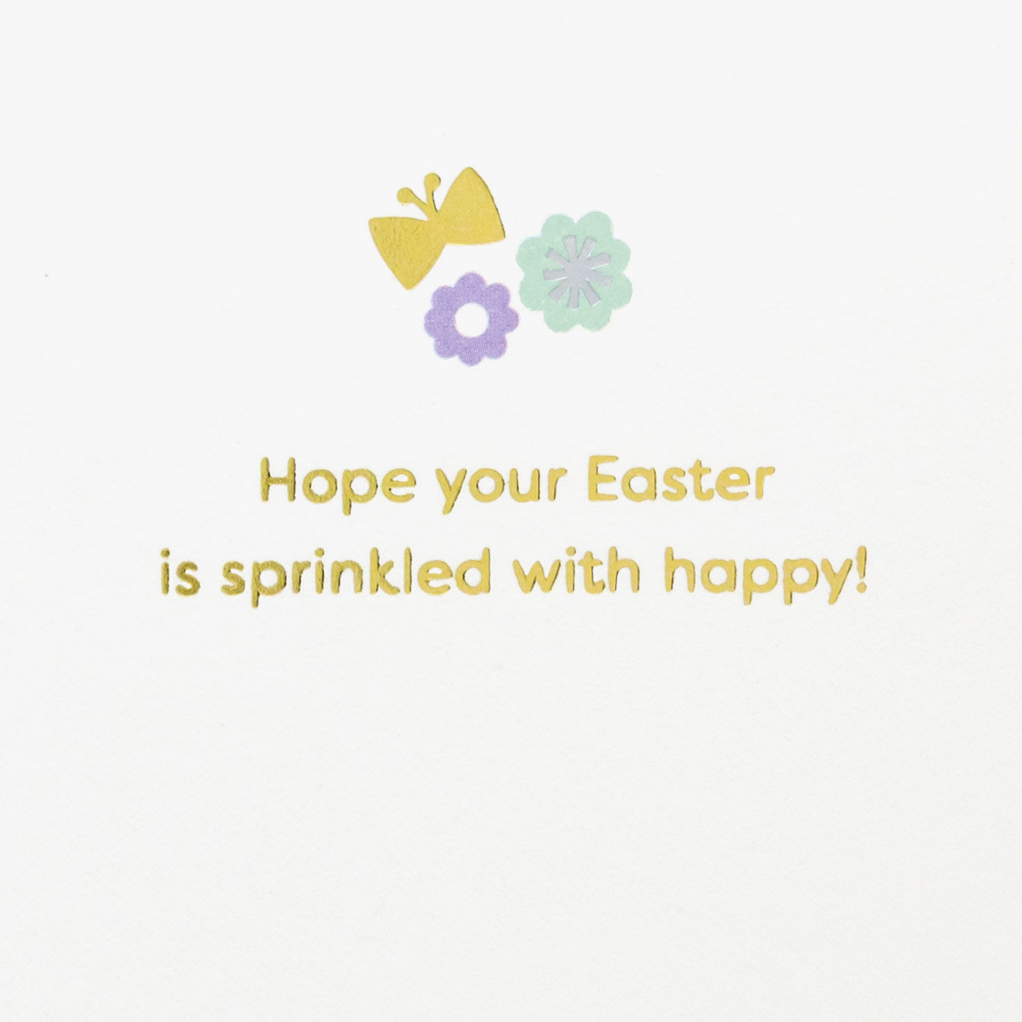 Chicken, Bunny, Lamb with Confetti Green Easter Card Sentiment image number 2