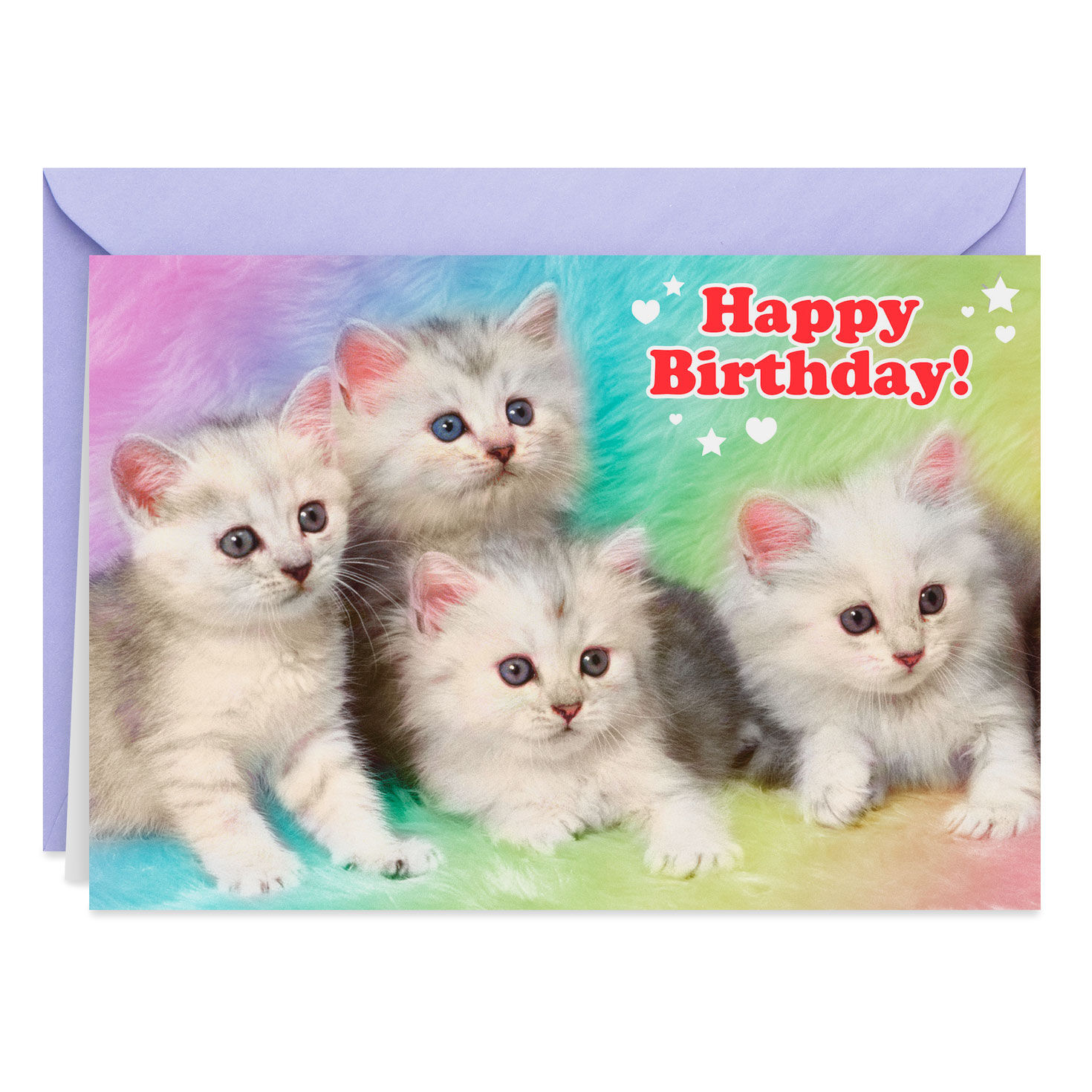 Extremely Cute Kittens Funny Birthday Card Greeting Cards Hallmark
