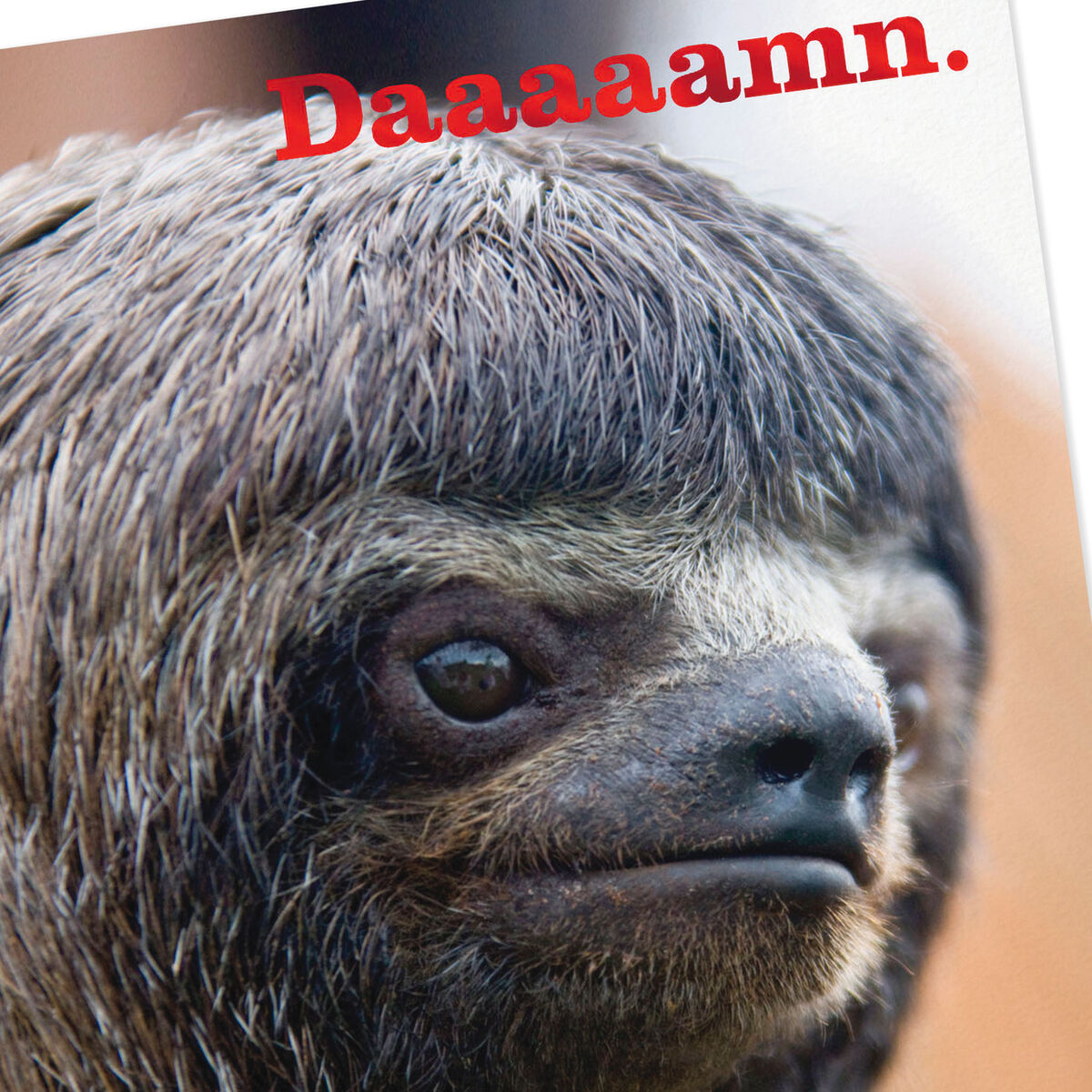 hallmark giant sloth