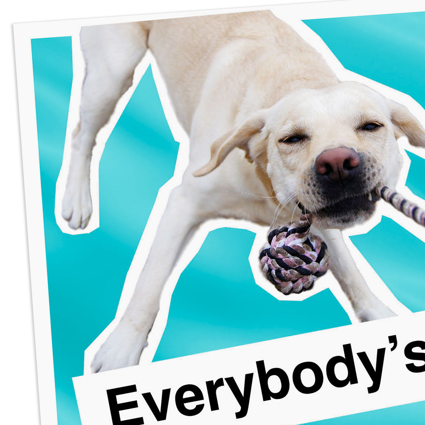 Dog Tug Toy Funny Good Luck Card Card Front Detail image number 4