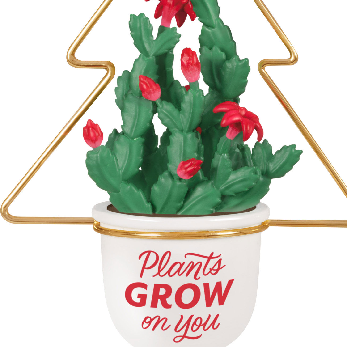 Plants Grow on You Ornament for only USD 24.99 | Hallmark