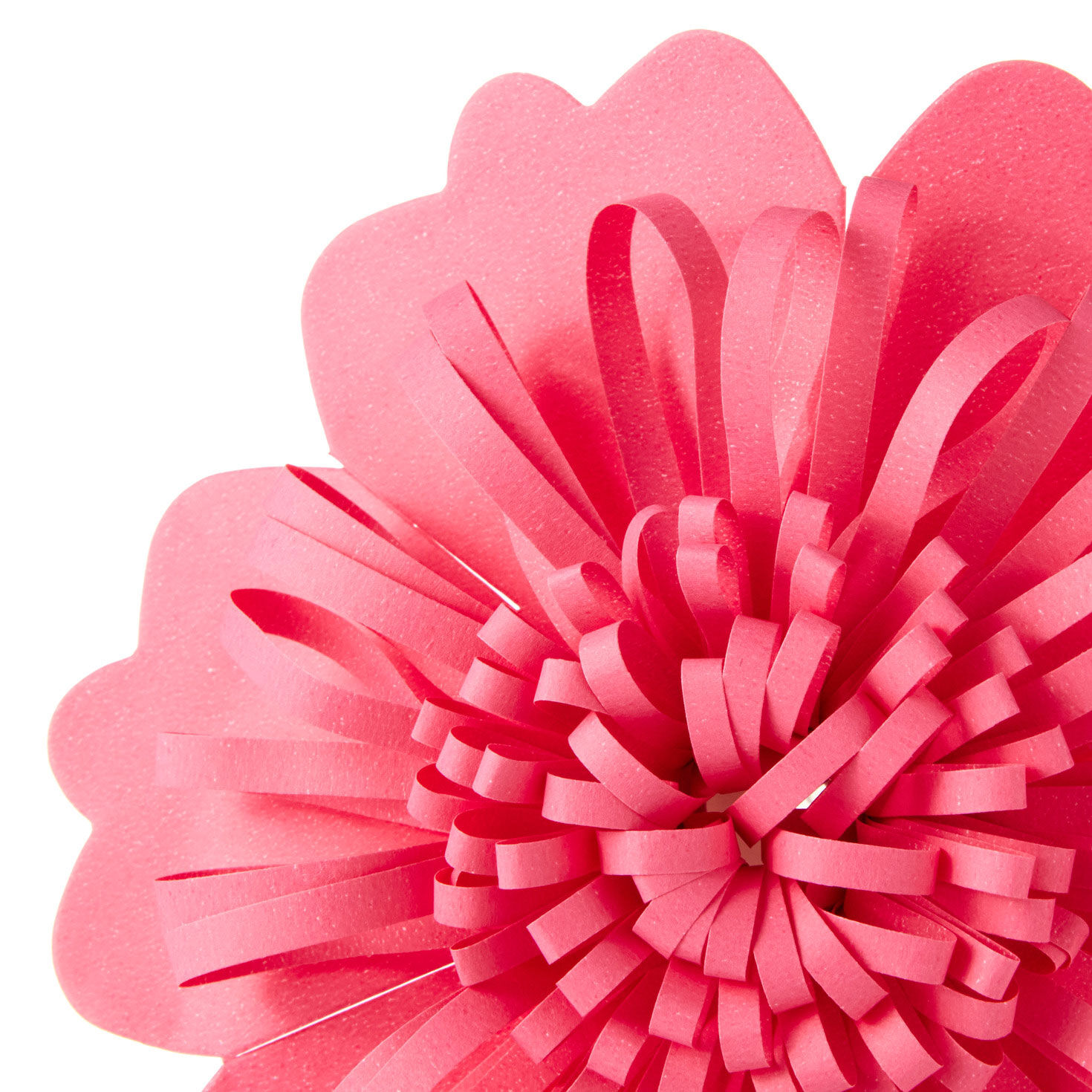 Scalloped Floral Gift Bow in Coral Pink upclose view image number 4