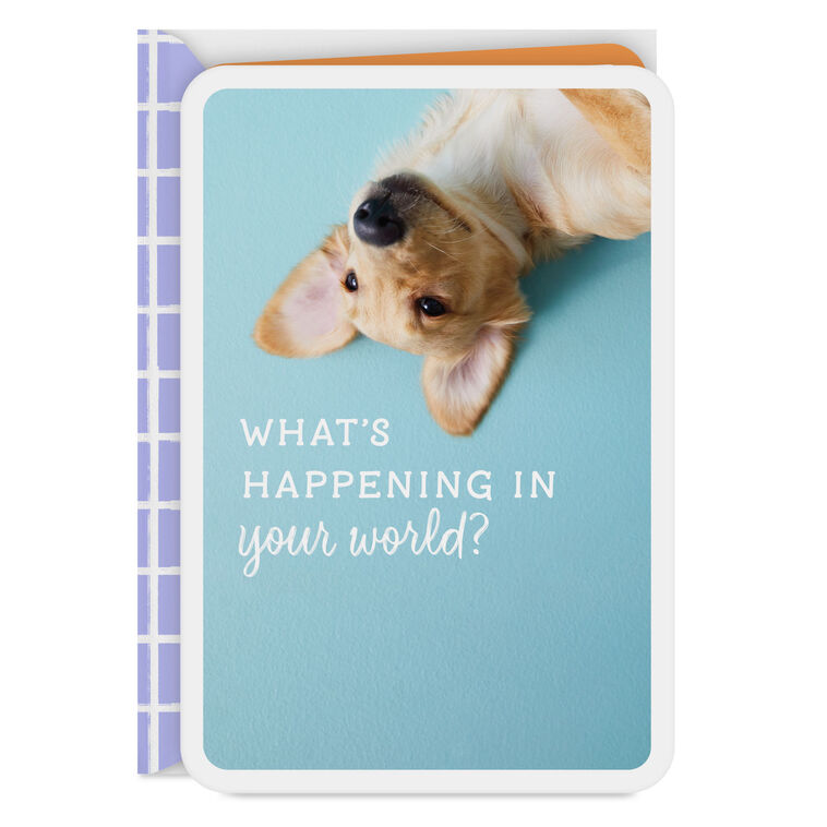 What's Happening in Your World Blank Card