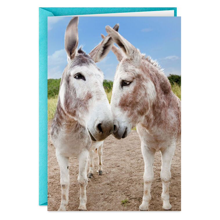 Glad You're Still Mine, Donkey Funny Romantic Anniversary Card