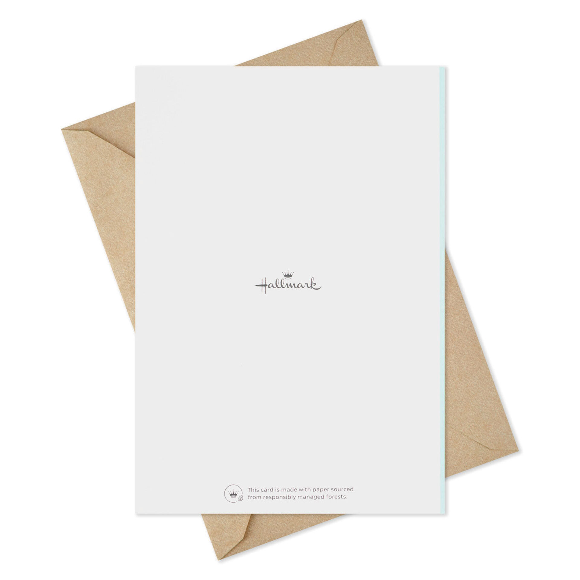 Assorted Watercolor Boxed Sympathy Cards For Loss Of Pet Pack Of 16 
