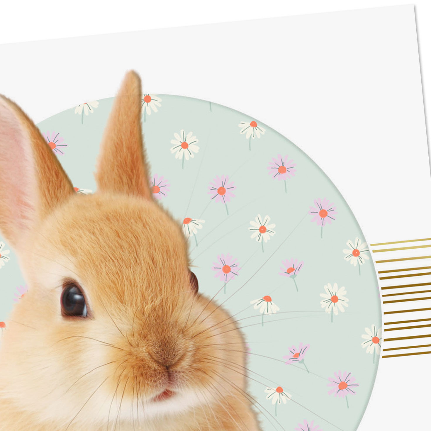 Bunny Rabbit on Flowers Easter Card Card Front Detail image number 4